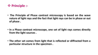 Phase Light Microscope Light microscope | PPTX