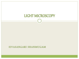SIVASANGARI SHANMUGAM
LIGHT MICROSCOPY
 