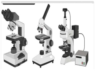 Light microscope | PPTX
