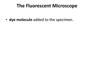 The Fluorescent Microscope
• dye molecule added to the specimen.
 