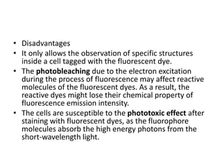 • Disadvantages
• It only allows the observation of specific structures
inside a cell tagged with the fluorescent dye.
• The photobleaching due to the electron excitation
during the process of fluorescence may affect reactive
molecules of the fluorescent dyes. As a result, the
reactive dyes might lose their chemical property of
fluorescence emission intensity.
• The cells are susceptible to the phototoxic effect after
staining with fluorescent dyes, as the fluorophore
molecules absorb the high energy photons from the
short-wavelength light.
 