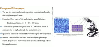 Light Microscope and its advantages.pptx