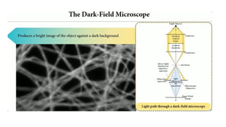 Light Microscope Pros Light Microscope and its advantages.pptx