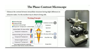 Light Microscope and its advantages.pptx