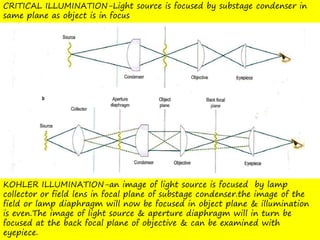 LIGHT MICROSCOPE LIGHT MICROSOCE LIGHT MICROSCOPE | PPTX