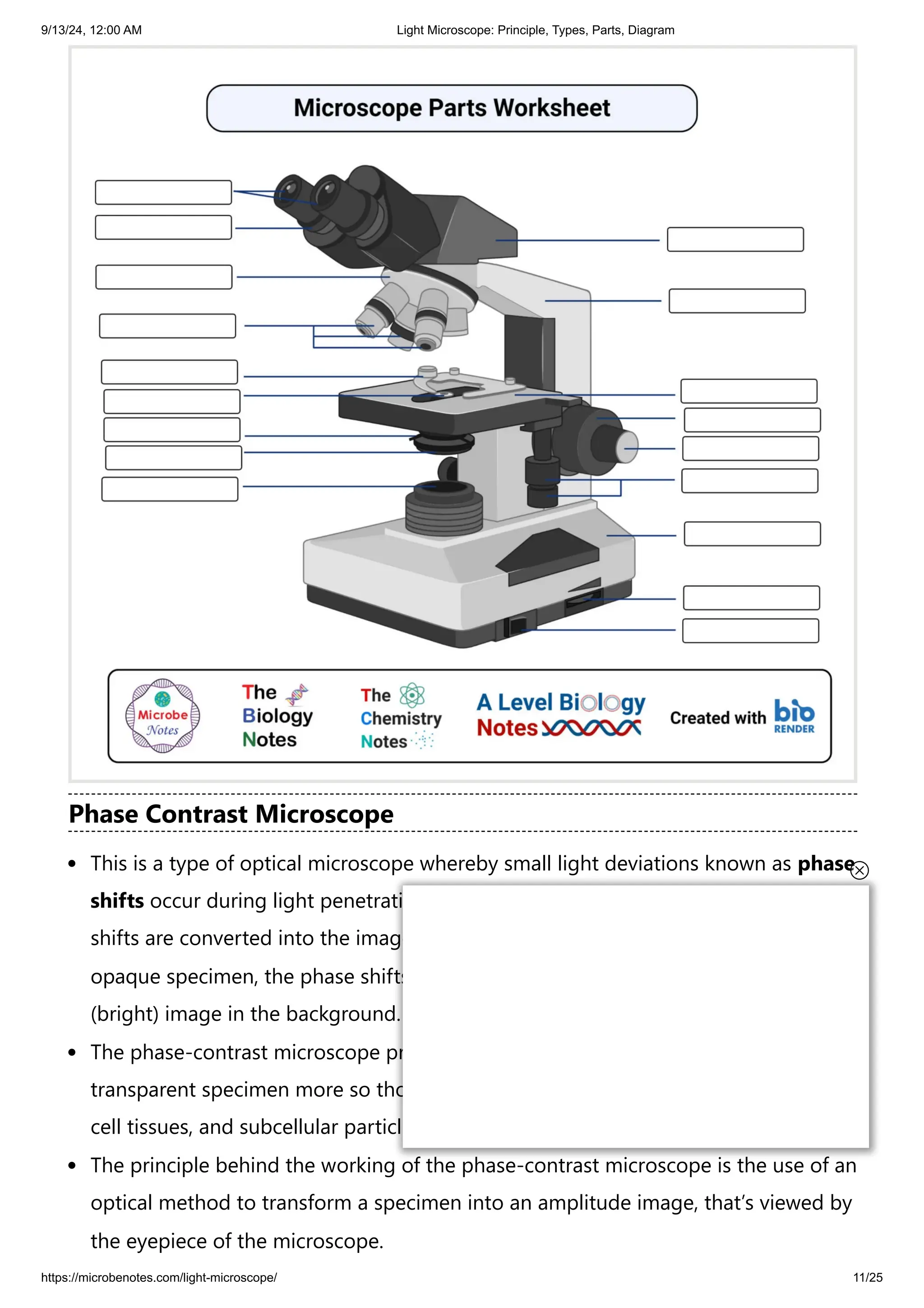 9/13/24, 12:00 AM Light Microscope: Principle, Types, Parts, Diagram
https://microbenotes.com/light-microscope/ 11/25
Phase Contrast Microscope
This is a type of optical microscope whereby small light deviations known as phase
shifts occur during light penetration into the unstained specimen. These phase
shifts are converted into the image to mean, when light passes through the
opaque specimen, the phase shifts brighten the specimen forming an illuminated
(bright) image in the background.
The phase-contrast microscope produces high contrast images when using a
transparent specimen more so those of microbial cultures, thin tissue fragments,
cell tissues, and subcellular particles.
The principle behind the working of the phase-contrast microscope is the use of an
optical method to transform a specimen into an amplitude image, that’s viewed by
the eyepiece of the microscope.
 