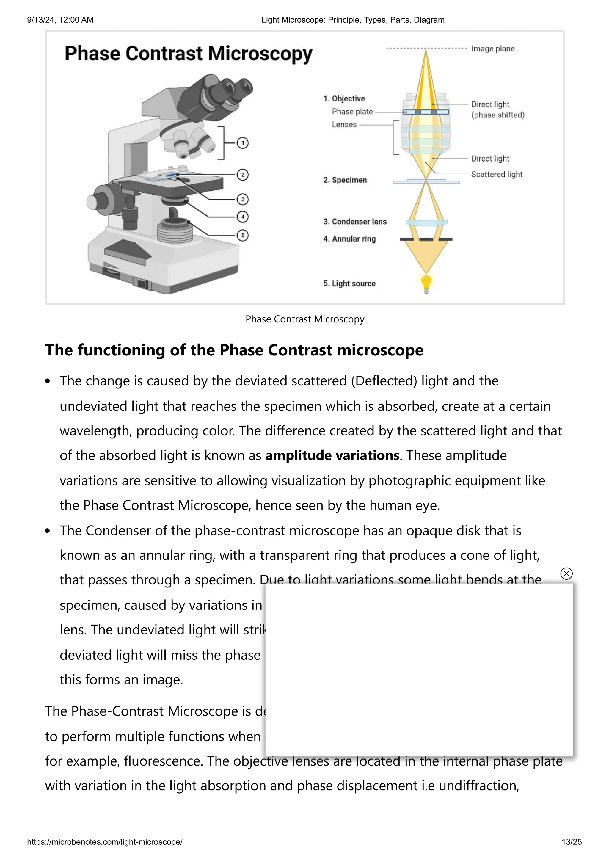9/13/24, 12:00 AM Light Microscope: Principle, Types, Parts, Diagram
https://microbenotes.com/light-microscope/ 13/25
Phase Contrast Microscopy
The functioning of the Phase Contrast microscope
The change is caused by the deviated scattered (Deflected) light and the
undeviated light that reaches the specimen which is absorbed, create at a certain
wavelength, producing color. The difference created by the scattered light and that
of the absorbed light is known as amplitude variations. These amplitude
variations are sensitive to allowing visualization by photographic equipment like
the Phase Contrast Microscope, hence seen by the human eye.
The Condenser of the phase-contrast microscope has an opaque disk that is
known as an annular ring, with a transparent ring that produces a cone of light,
that passes through a specimen. Due to light variations some light bends at the
specimen, caused by variations in light density, forming an image at the objective
lens. The undeviated light will strike the phase ring on the phase plate and the
deviated light will miss the phase ring passing through the phase plate directly,
this forms an image.
The Phase-Contrast Microscope is designed with objective lenses that have the ability
to perform multiple functions when combined with contrast-enhancing techniques,
for example, fluorescence. The objective lenses are located in the internal phase plate
with variation in the light absorption and phase displacement i.e undiffraction,
 