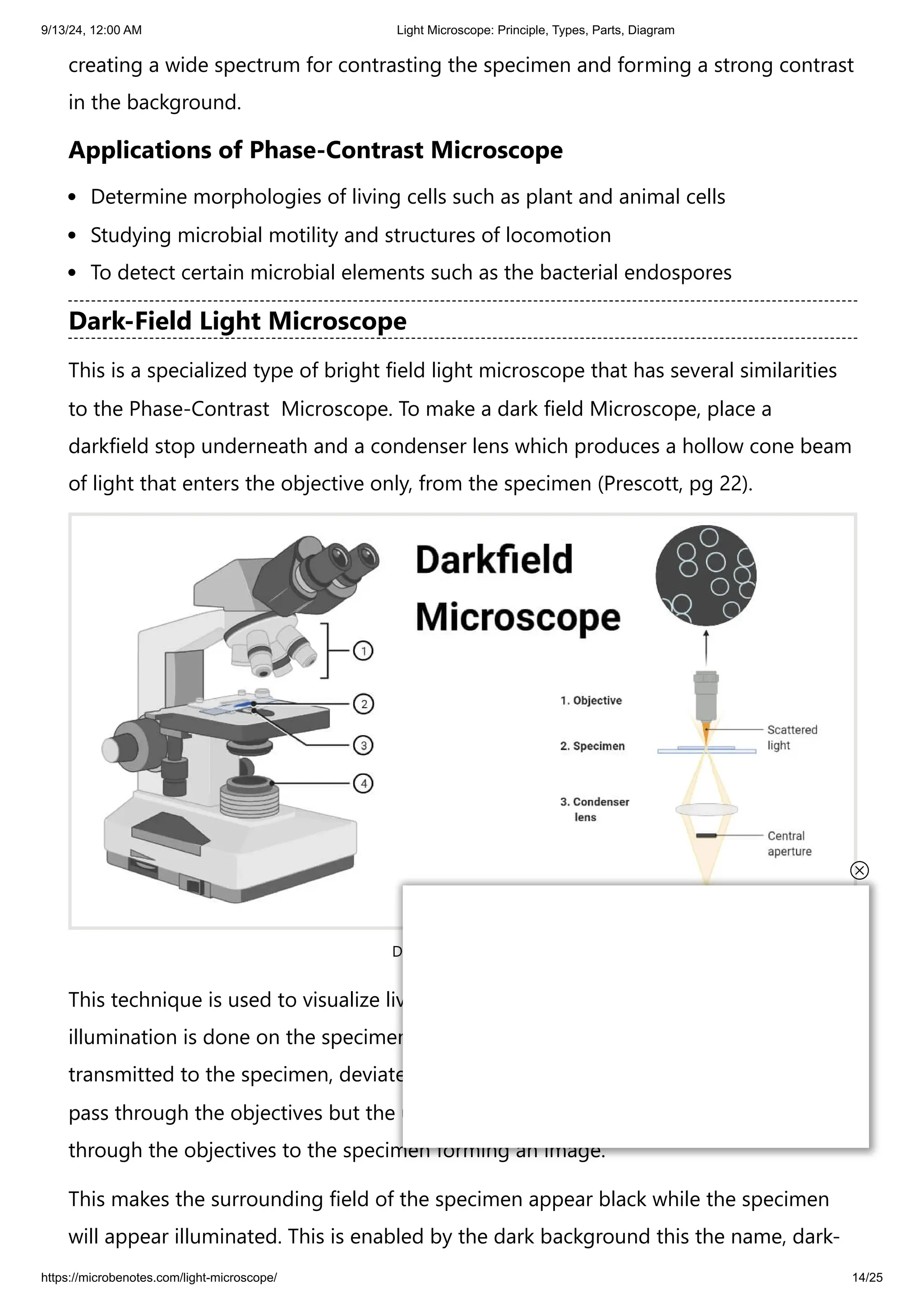 9/13/24, 12:00 AM Light Microscope: Principle, Types, Parts, Diagram
https://microbenotes.com/light-microscope/ 14/25
creating a wide spectrum for contrasting the specimen and forming a strong contrast
in the background.
Applications of Phase-Contrast Microscope
Determine morphologies of living cells such as plant and animal cells
Studying microbial motility and structures of locomotion
To detect certain microbial elements such as the bacterial endospores
Dark-Field Light Microscope
This is a specialized type of bright field light microscope that has several similarities
to the Phase-Contrast Microscope. To make a dark field Microscope, place a
darkfield stop underneath and a condenser lens which produces a hollow cone beam
of light that enters the objective only, from the specimen (Prescott, pg 22).
Darkfield Microscope
This technique is used to visualize living unstained cells. This is affected by the way
illumination is done on the specimen in that, when a hollow cone beam of light is
transmitted to the specimen, deviated light (unreflected/unrefracted) rays do not
pass through the objectives but the undeviated (reflected/refracted) light passes
through the objectives to the specimen forming an image.
This makes the surrounding field of the specimen appear black while the specimen
will appear illuminated. This is enabled by the dark background this the name, dark-
 