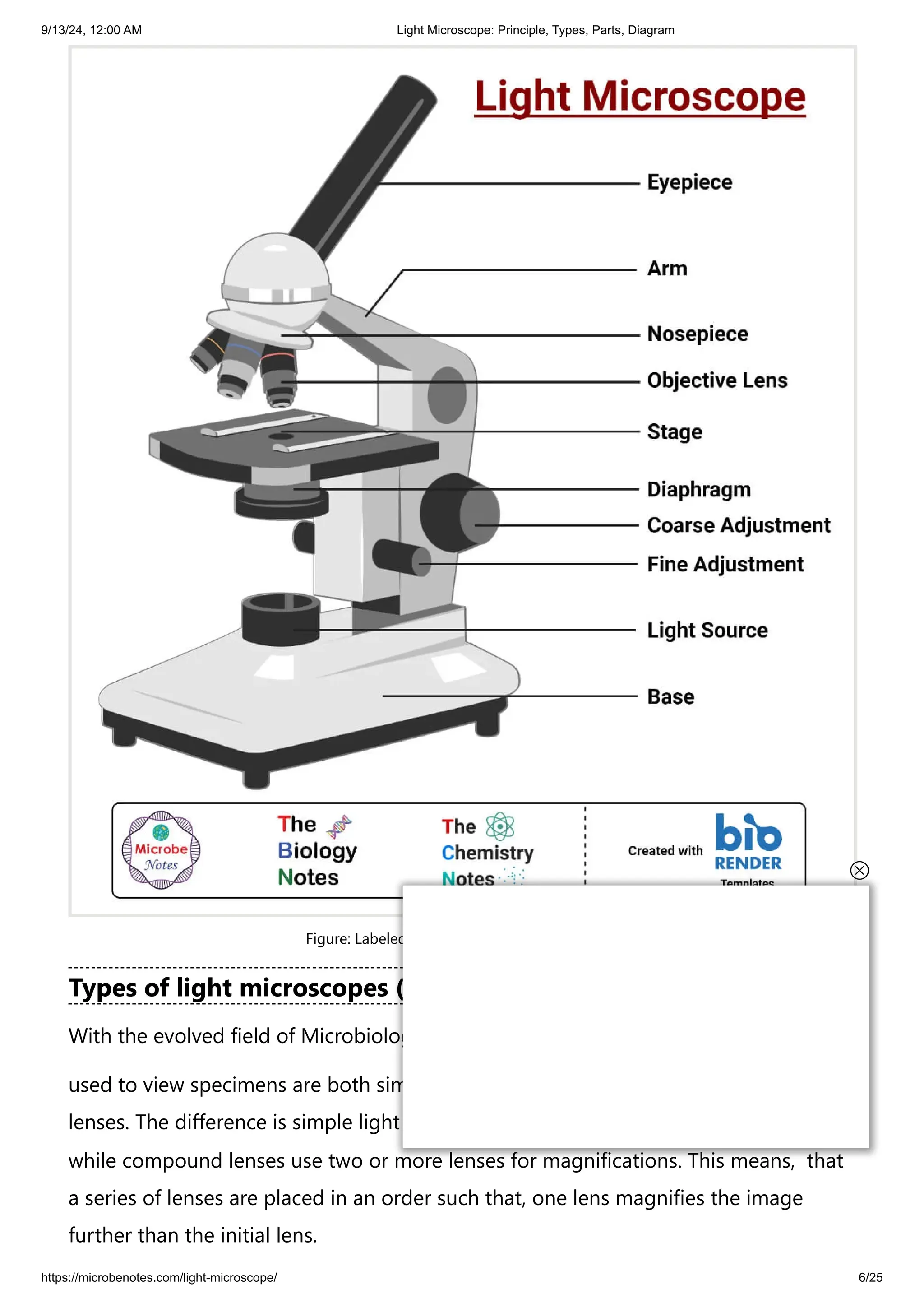 9/13/24, 12:00 AM Light Microscope: Principle, Types, Parts, Diagram
https://microbenotes.com/light-microscope/ 6/25
Figure: Labeled Diagram of a Light Microscope.
Types of light microscopes (optical microscope)
With the evolved field of Microbiology, the microscopes
used to view specimens are both simple and compound light microscopes, all using
lenses. The difference is simple light microscopes use a single lens for magnification
while compound lenses use two or more lenses for magnifications. This means, that
a series of lenses are placed in an order such that, one lens magnifies the image
further than the initial lens.
 