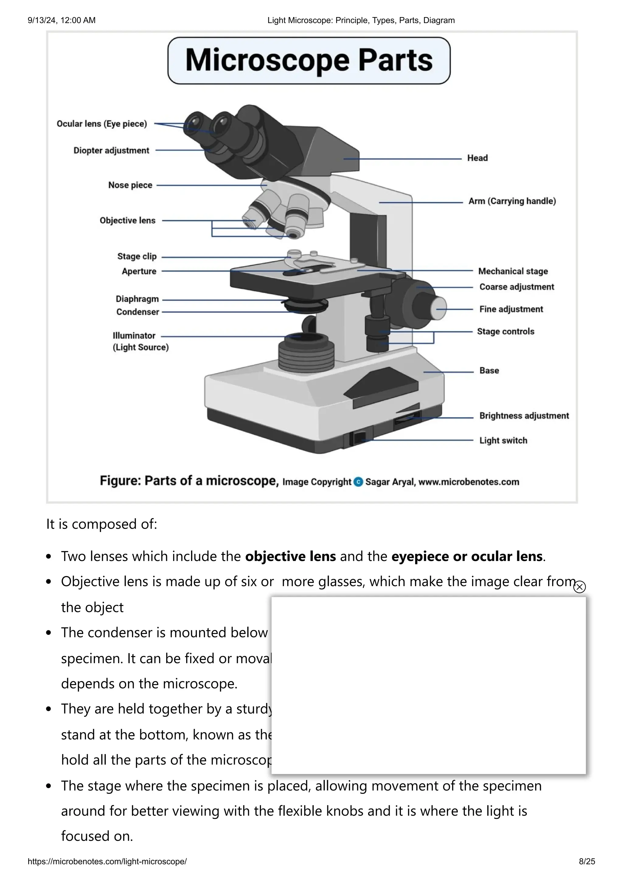 9/13/24, 12:00 AM Light Microscope: Principle, Types, Parts, Diagram
https://microbenotes.com/light-microscope/ 8/25
It is composed of:
Two lenses which include the objective lens and the eyepiece or ocular lens.
Objective lens is made up of six or more glasses, which make the image clear from
the object
The condenser is mounted below the stage which focuses a beam of light onto the
specimen. It can be fixed or movable, to adjust the quality of light, but this entirely
depends on the microscope.
They are held together by a sturdy metallic curved back used as an arm and a
stand at the bottom, known as the base, of the microscope. The arm and the base
hold all the parts of the microscope.
The stage where the specimen is placed, allowing movement of the specimen
around for better viewing with the flexible knobs and it is where the light is
focused on.
 