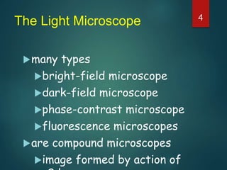 Light microscopy Use Definitions Parts Image Formation and Light ...