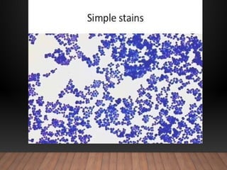 Light Microscopy Stains and staining.pptx