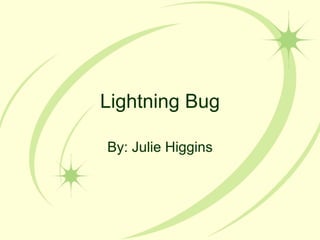Lightning Bug By: Julie Higgins 