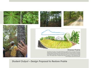 Archival Research + Field StudiesA crash course in Black Belt history and culture