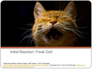 Lisa LapointeULS / CLS Lightning Rounds