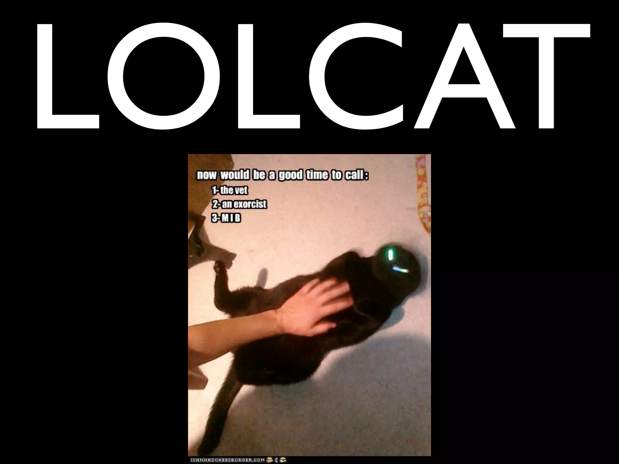 LOLCAT
 