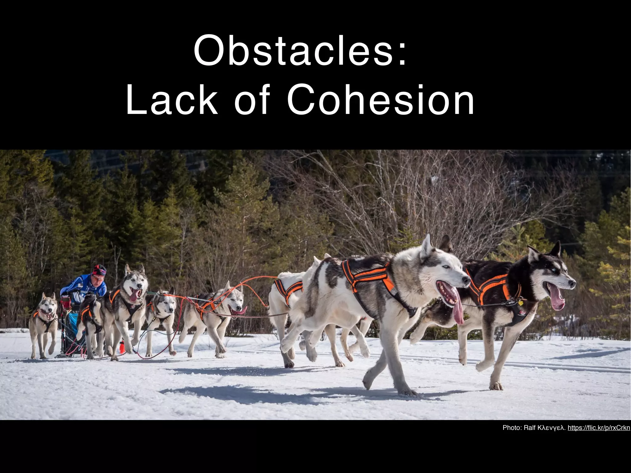 Obstacles:
Lack of Cohesion
Photo: Ralf Κλενγελ. https://ﬂic.kr/p/rxCrkn
 