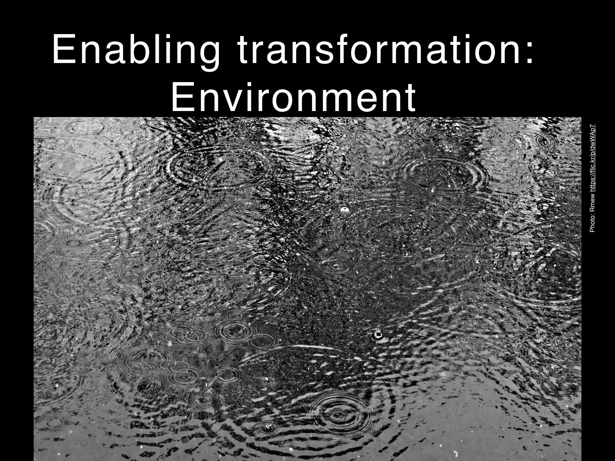 Enabling transformation:
Environment
Photo:Rmewhttps://ﬂic.kr/p/dwWAp7
 