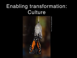 Enabling transformation:
Culture
Photo:LizCastrohttps://ﬂic.kr/p/5iEWSW
 
