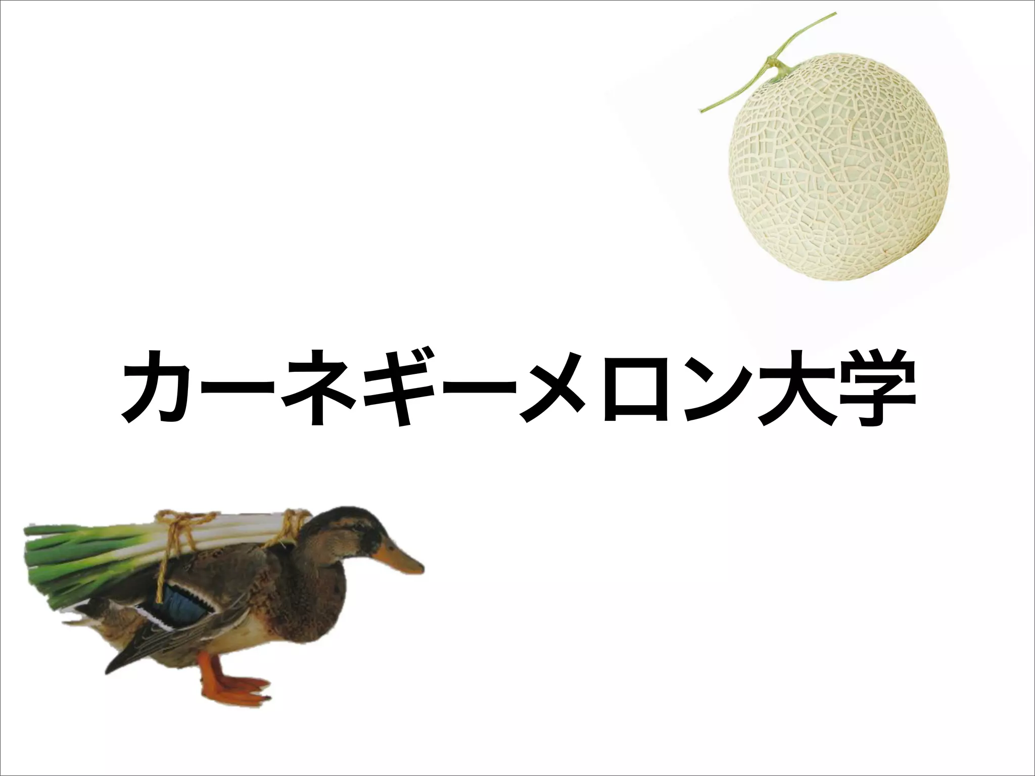 カーネギーメロン大学
 