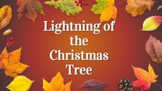 Lightning of
the
Christmas
Tree
1
 