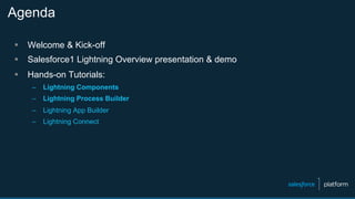 Agenda
§  Welcome & Kick-off
§  Salesforce1 Lightning Overview presentation & demo
§  Hands-on Tutorials:
–  Lightning Components
–  Lightning Process Builder
–  Lightning App Builder
–  Lightning Connect
 