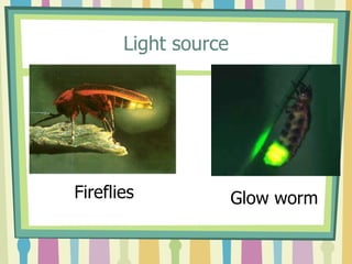Light source




Fireflies             Glow worm
 
