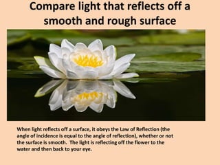 Compare light that reflects off a
smooth and rough surface
When light reflects off a surface, it obeys the Law of Reflection (the
angle of incidence is equal to the angle of reflection), whether or not
the surface is smooth. The light is reflecting off the flower to the
water and then back to your eye.
 