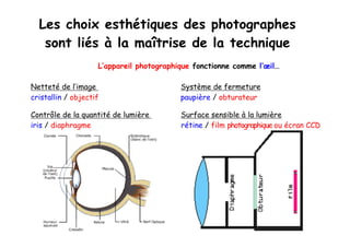 Les choix esthétiques des photographes
sont liés à la maîtrise de la technique
L’appareil photographique fonctionne comme l’œil…
Netteté de l’image Système de fermeture
cristallin / objectif paupière / obturateur
Contrôle de la quantité de lumière Surface sensible à la lumière
iris / diaphragme rétine / film photographique ou écran CCD
 