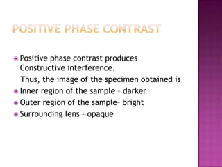  Positive

phase contrast produces
Constructive interference.
Thus, the image of the specimen obtained is
 Inner region of the sample – darker
 Outer region of the sample– bright
 Surrounding lens – opaque

 