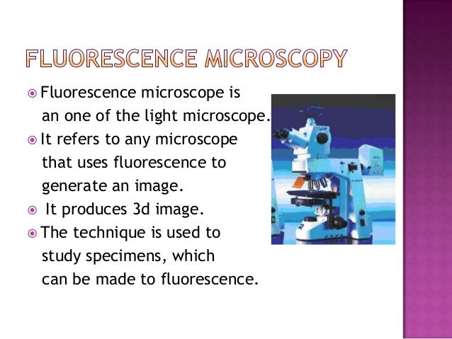 Light Phase Contrast And Fluorescence Microscopy