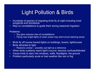Light Pollution .pdf
