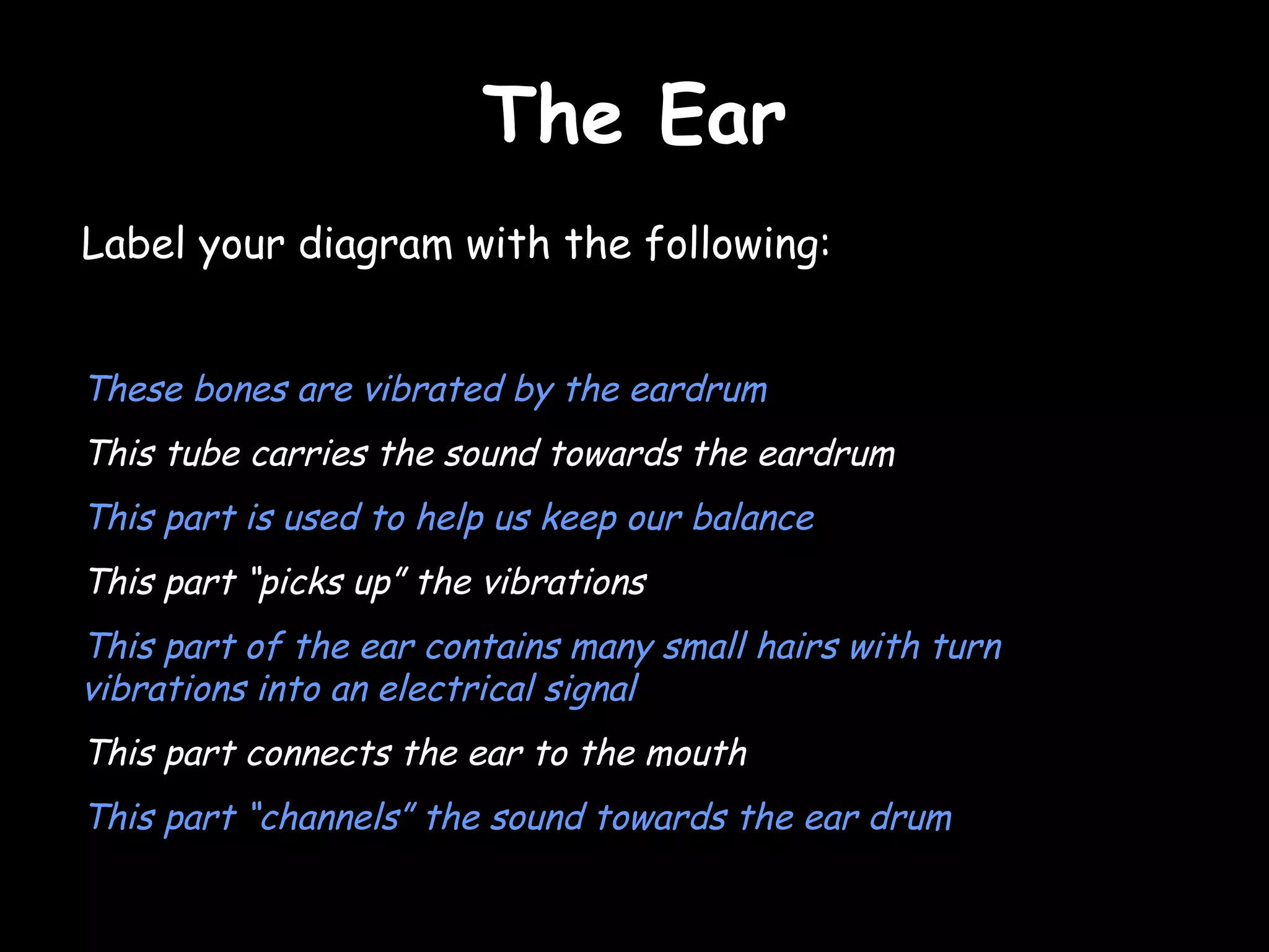 The Ear Label your diagram with the following: These bones are vibrated by the eardrum  This tube carries the sound towards the eardrum This part is used to help us keep our balance This part “picks up” the vibrations This part of the ear contains many small hairs with turn vibrations into an electrical signal This part connects the ear to the mouth This part “channels” the sound towards the ear drum 