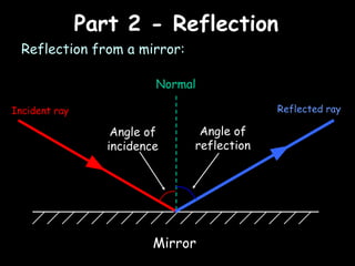 Part 2 - ReflectionPart 2 - Reflection
Reflection from a mirror:
Incident ray
Normal
Reflected ray
Angle of
incidence
Angle of
reflection
Mirror
 
