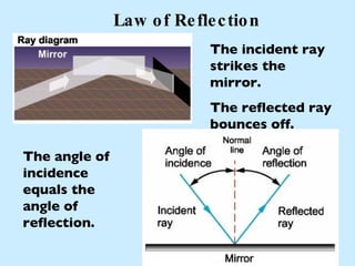 Law of Reflection The angle of incidence equals the angle of reflection. The incident ray strikes the mirror. The reflected ray bounces off. 