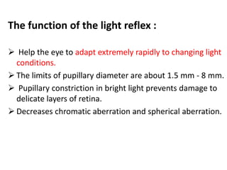 Light Reflex Example Light reflex | PPTX