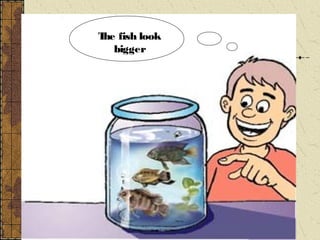 T fish look
 he
   bigger
 