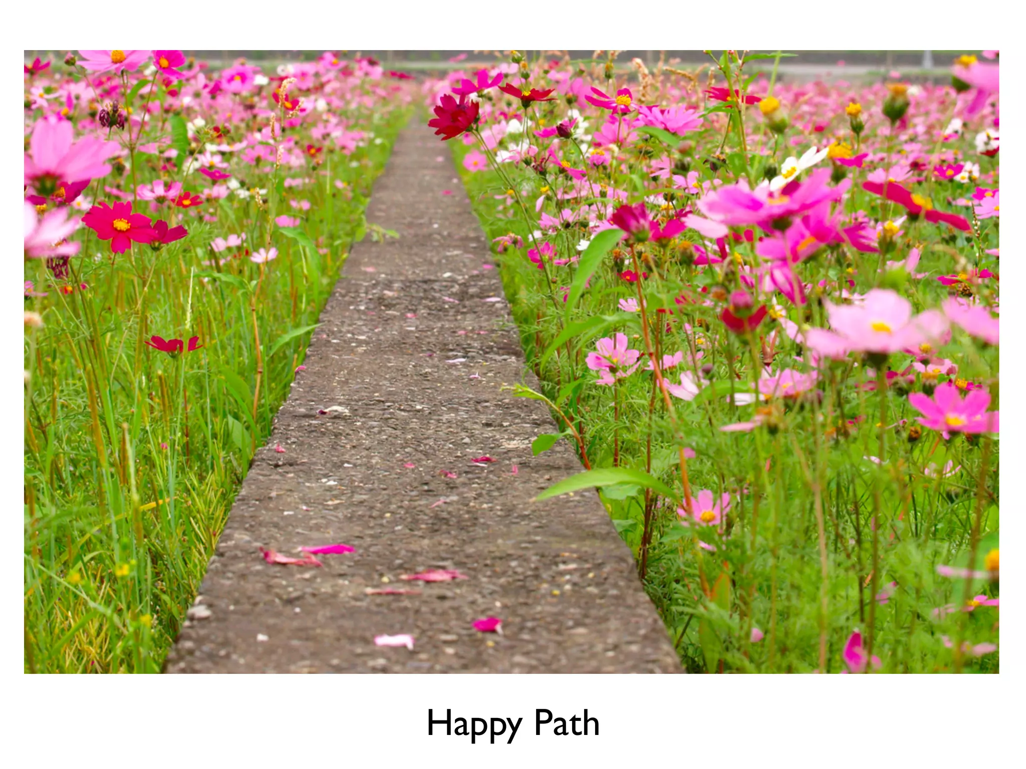 Works of Art
Happy Path
 