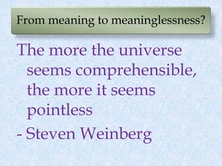 From meaning to meaninglessness?
The more the universe
seems comprehensible,
the more it seems
pointless
- Steven Weinberg
 