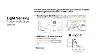 Light Sensing
Customvisiblerange
sensors
Formoreexoticsensitivities,youcouldleaveopen hardwaredesignso
thatphotopigmentintermediatescouldbeadded
●
MetarhodopsinII (~380nm) that could play rolewith BlueLight Hazard
(Grimm et al. 2000, 2001), and in photoreversal (Hubbardand Kropf1958)
●
M(476nm) and Estates(453nm)
of melanopsin (in vitro mouse,
Emanuel et al. 2016; purified pigment,
Matsuyama et al. 2012). R-stateat 471
nm.
=3 channels
 