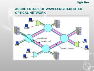 Light tree | PPT