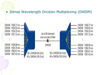 • Dense Wavelength Division Multiplexing (DWDM) 
 
