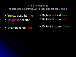 Primary Pigments
    Absorb one color from white light and reflect 2 colors

   Yellow absorbs Blue            Reflects ...