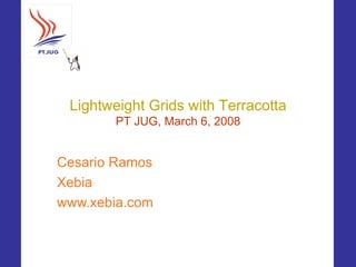 Lightweight Grids with Terracotta
        PT JUG, March 6, 2008


Cesario Ramos
Xebia
www.xebia.com