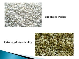 Expanded Perlite
Exfoliated Vermiculite
 