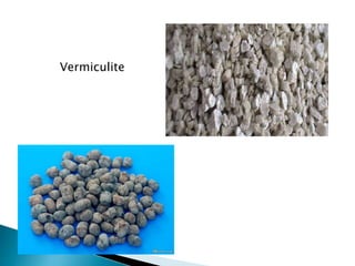 Vermiculite
 