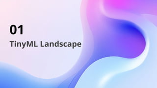 01
TinyML Landscape
 