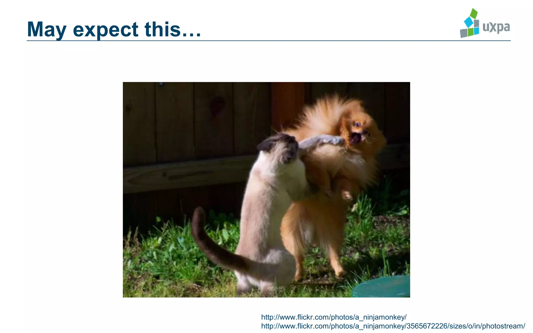 May expect this…
http://www.flickr.com/photos/a_ninjamonkey/
http://www.flickr.com/photos/a_ninjamonkey/3565672226/sizes/o/in/photostream/
 