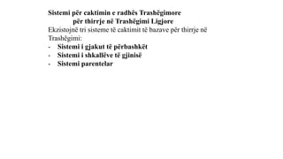 Sistemi për caktimin e radhës Trashëgimore
për thirrje në Trashëgimi Ligjore
Ekzistojnë tri sisteme të caktimit të bazave për thirrje në
Trashëgimi:
- Sistemi i gjakut të përbashkët
- Sistemi i shkallëve të gjinisë
- Sistemi parentelar
 