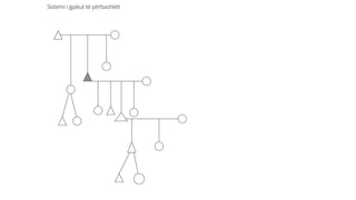 Sistemi i gjakut të përbashkët
 